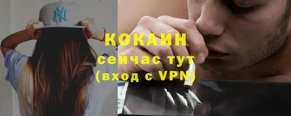 соль ск Алексин