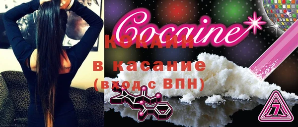ECSTASY Алзамай