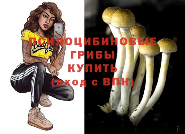 ECSTASY Алзамай